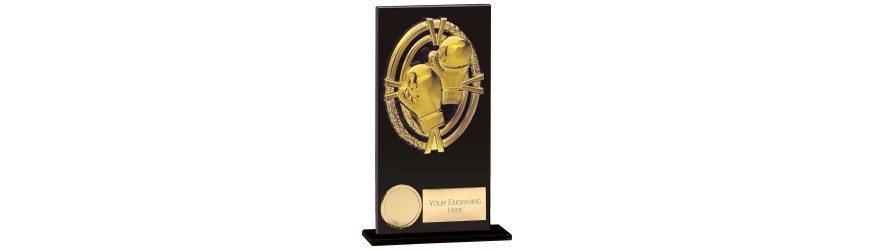 FUSION MAVERICK BOXING TROPHY - 5 SIZES - 12.5CM - 20CM